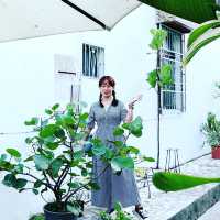 花蓮吉安 慶修院旁  咖啡 甜點 檜木創作的美好時光  惦惦咖啡