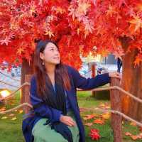《偽日本之旅下集》