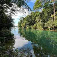 MacRitchie Reservoir
