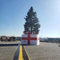 【横浜】赤レンガ倉庫