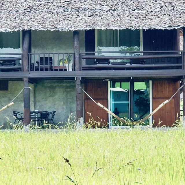 ที่พักวิวทุ่งนา