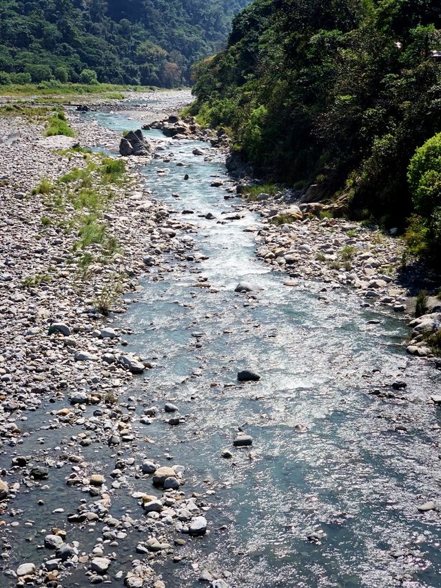 台中谷關極美吊橋｜來白鹿吊橋欣賞山林溪邊之美