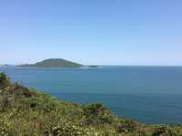 港島劏青蛙