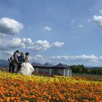 【北海道】美しいお花畑と美味しいメロン🍈