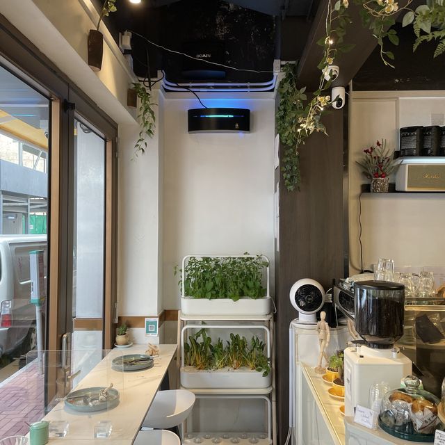 Cafe Zomato Cafe Zomato