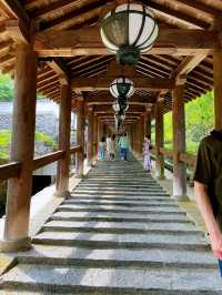 「長谷寺」の「紫陽花回廊」in 奈良