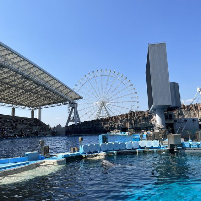 名古屋港水族館🐟