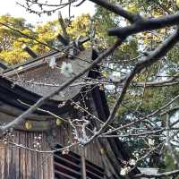 櫻井神社