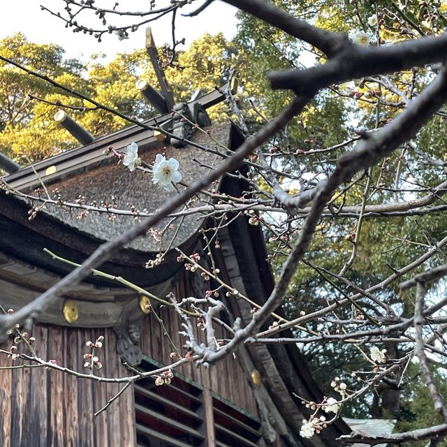 櫻井神社