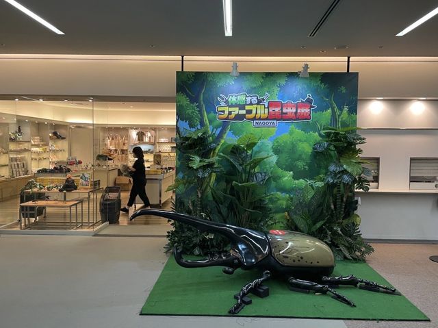カブトムシを触れるコーナーまで！【ファーブル昆虫展】②