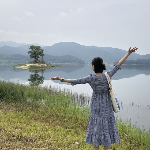 대청호 오백리길 운치있는 산책길🌳
