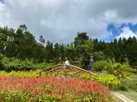 Betong Winter Flower Garden