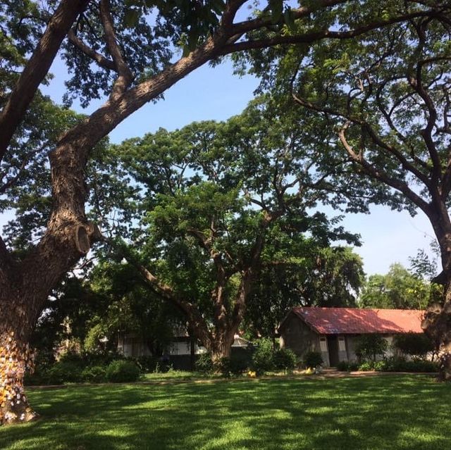 Mrigadayavan Palace 