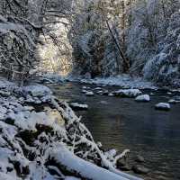A Snowy Wonderland At Twin Falls