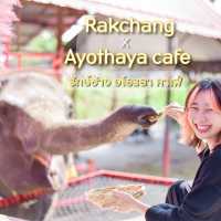คาเฟ่หญ้าหลากสี มีน้องช้างสุดคิ้วท์ 🐘💐🍃