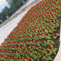 Earthquake Memorial in Tangshan