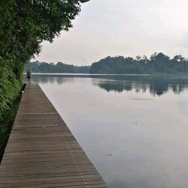 Lower Peirce Reservoir Park