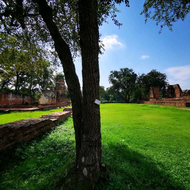 ร่องรอยของอดีตของความเจริญรุ่งเรือง วัดมหาธาตุ