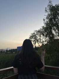 가을 저녁, 노을 구경하러 구로 항동 푸른수목원 산책은 어떠세요?🌿