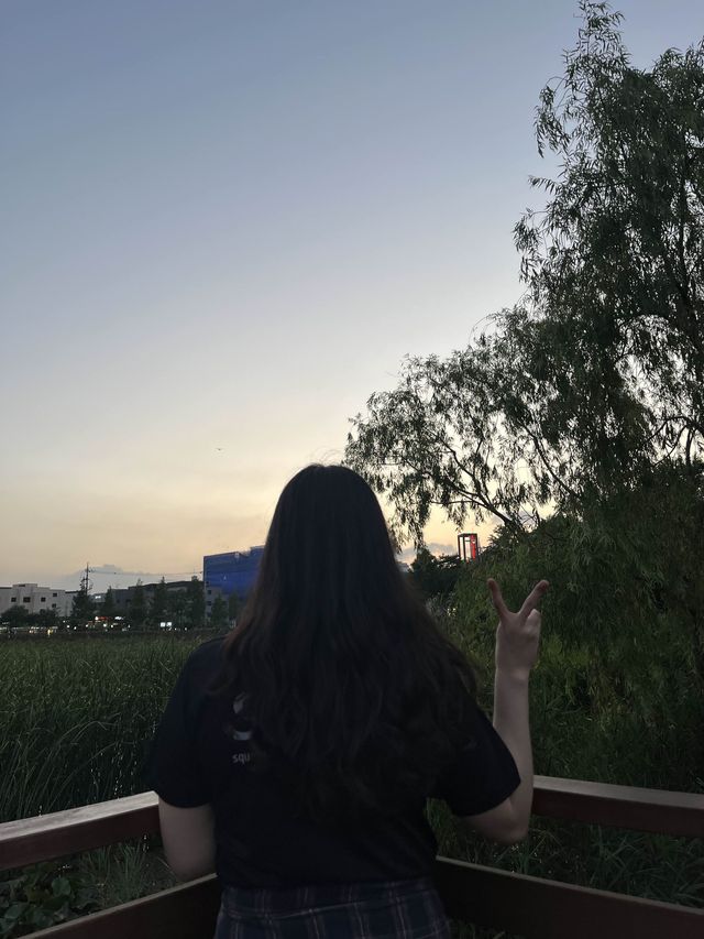 가을 저녁, 노을 구경하러 구로 항동 푸른수목원 산책은 어떠세요?🌿