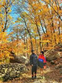 가을의 전설이 시작되는 곳! 경남 하동 삼성궁🍂🍁🏯