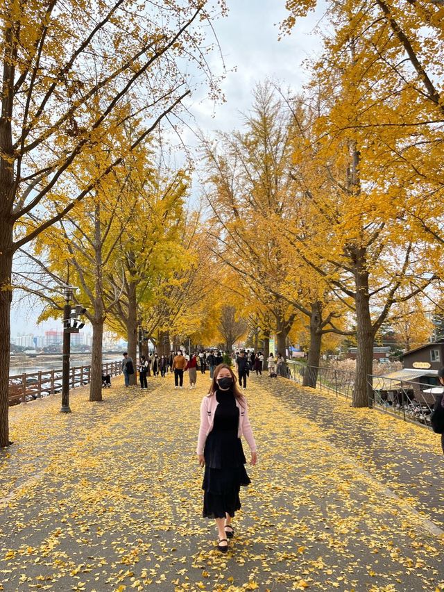 아산 은행나무길 💗 데이트코스로 추천!