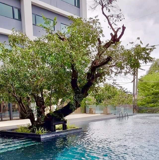 โรงแรมดารา
