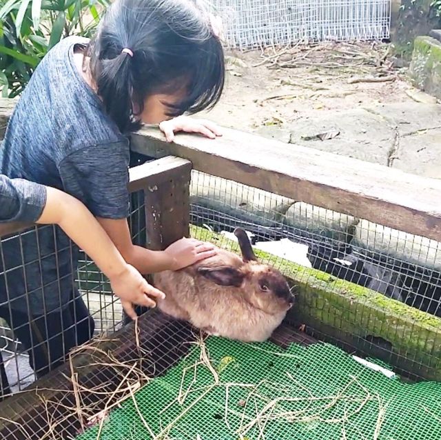 Wonderful place for kids 🤩 Farm in the city