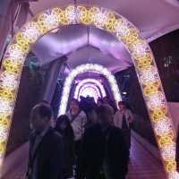 도쿄의 유명한 도쿄돔을 방문해보자!!!