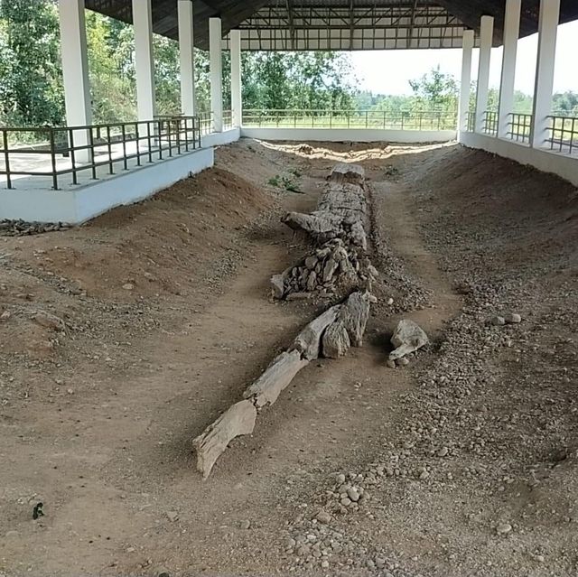 อุทยานแห่งชาติไม้กลายเป็นหิน 