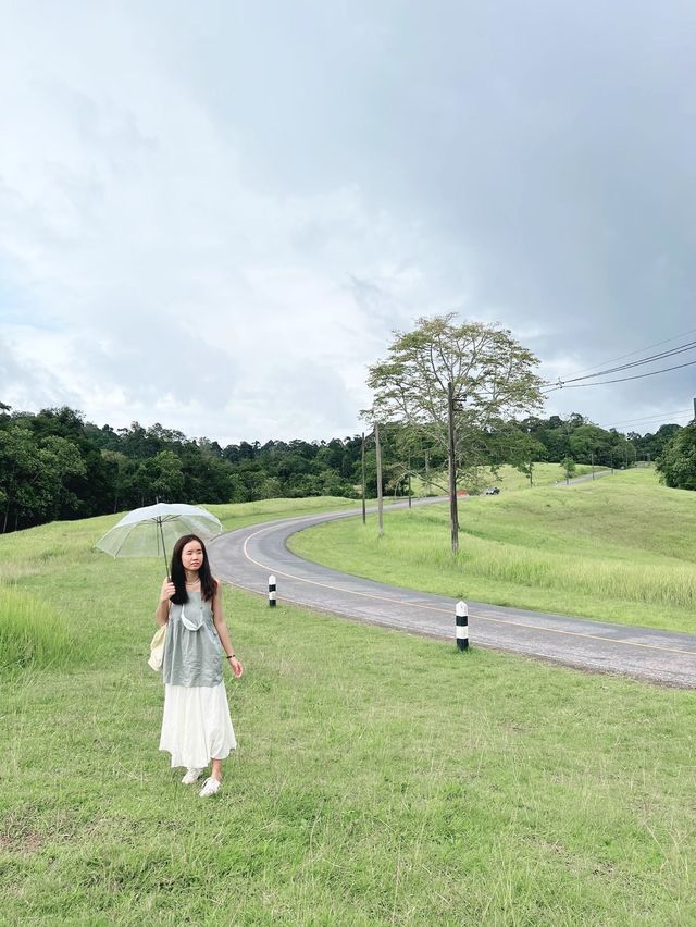 ส่องสัตว์กันที่ "หอดูสัตว์ หนองผักชี"⛰️🌳🐈