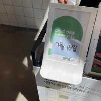 [성수] 이케아 랩-푸드 랩🥪