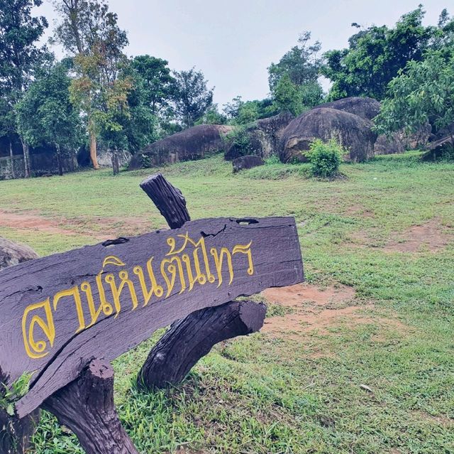 ลานหินต้นไทร