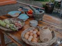 Check in Farmstay Chiangrai 🍃