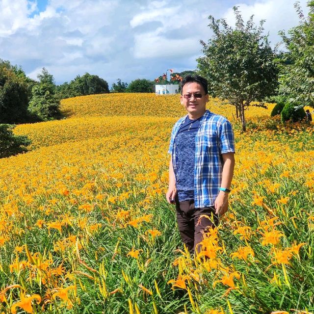 20210901赤科山林家花園金針花況