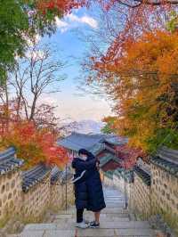 범어사 필수 사진 스팟 📸 