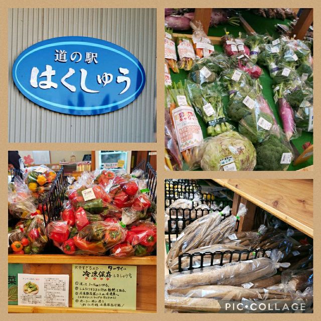 【山梨】道の駅はくしゅう