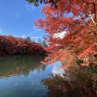 軽井沢『雲場池』