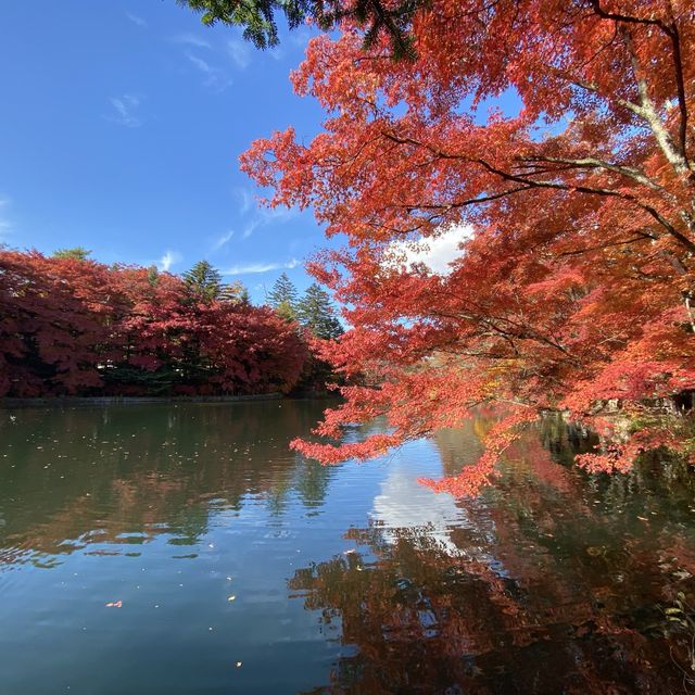 軽井沢『雲場池』
