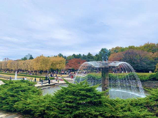 【東京】昭和記念公園でイチョウ紅葉狩り🍁