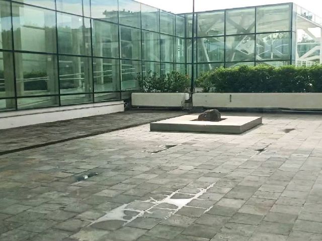 台北市立美術館 參訪遊記