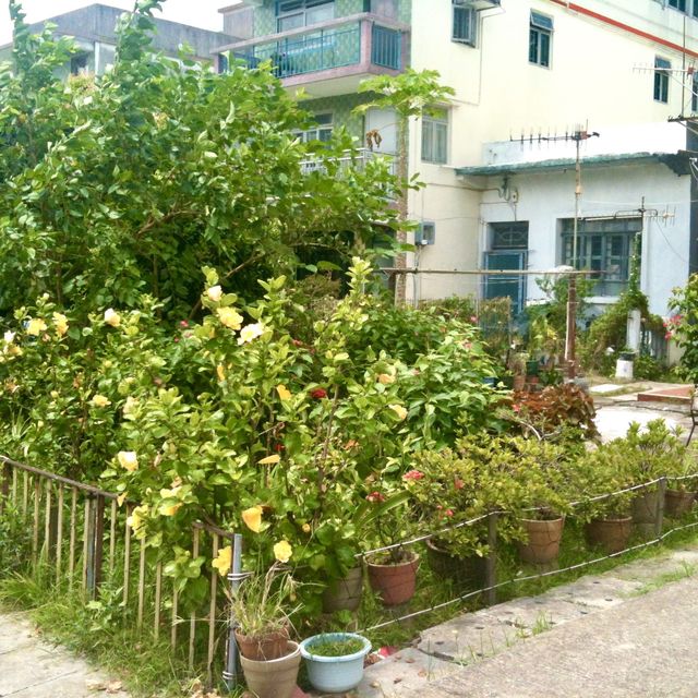 ［大澳］- 香港獨有棚屋 
