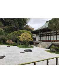 【神奈川・鎌倉】報国寺 竹林