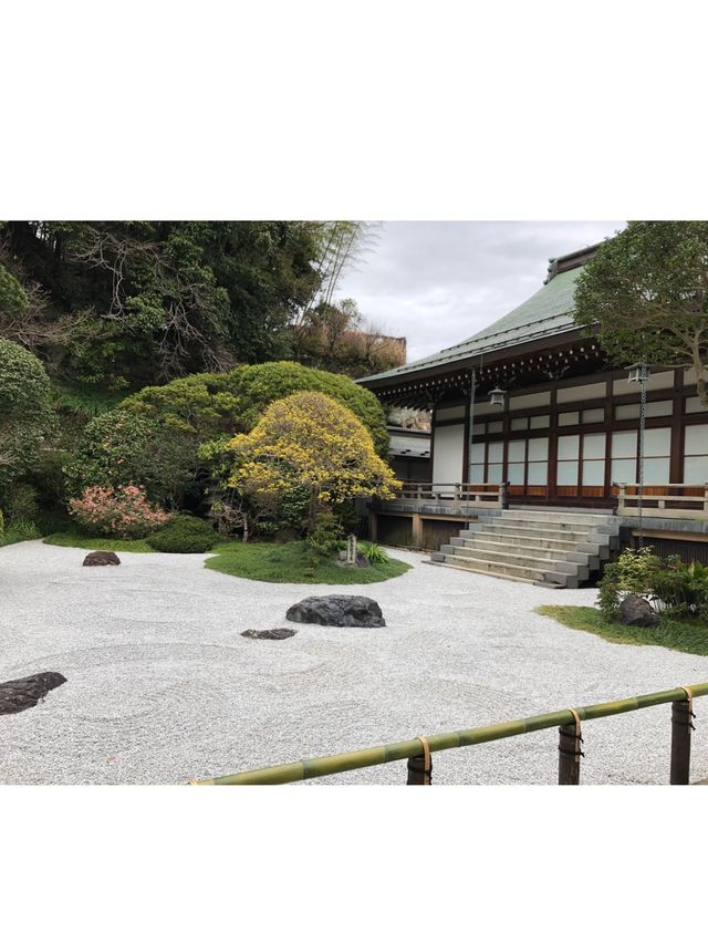 【神奈川・鎌倉】報国寺 竹林