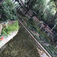 鳥魚花香的休閑公園