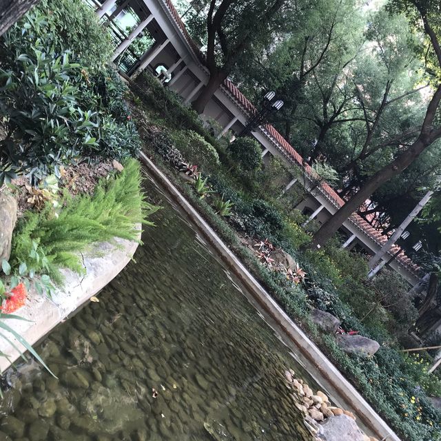 鳥魚花香的休閑公園