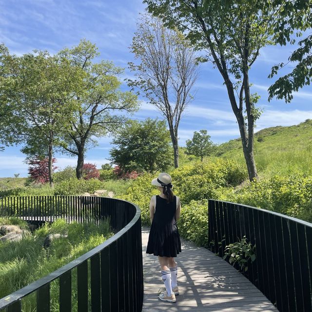자연이 주는 선물 합천 황매산