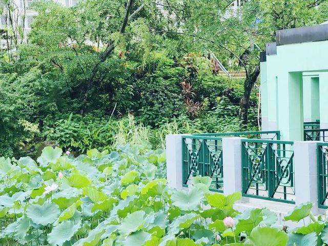 城門谷公園