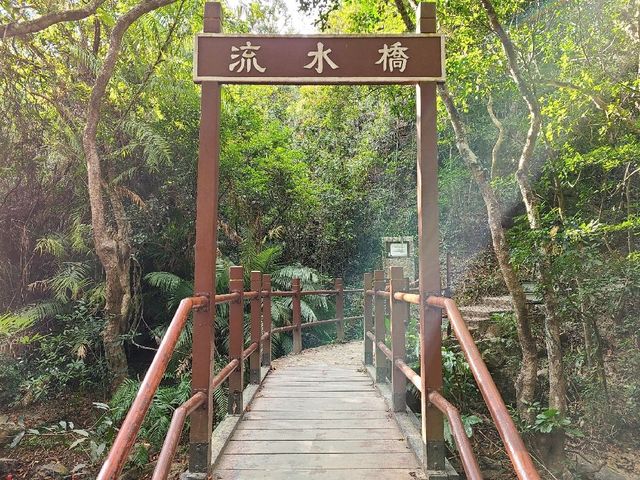 港版輕井澤雲場池~流水響水塘🏞️