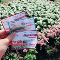 一年四季都能賞花的勝地